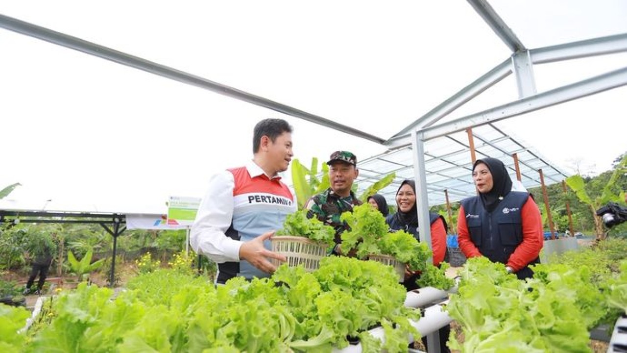 Perwakilan PT Pertamina (Persero) meninjau budidaya sayuran yang memanfaatkan energi bersih dalam Program Desa Energi Berdikari (DEB). Program ini menjadi bagian dari upaya Pertamina mendorong kemandirian energi, memperkuat ekonomi desa, serta meningkatkan kesejahteraan masyarakat.