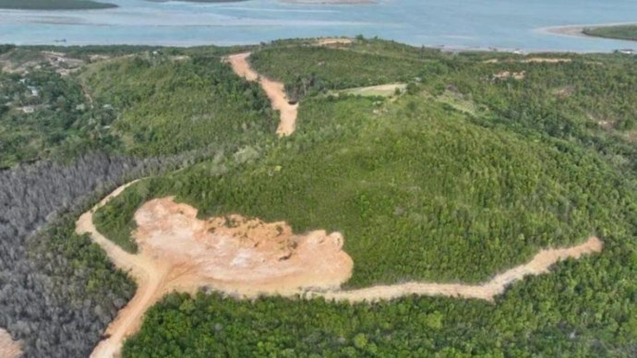 Kawasan Hutan Lindung Tanjung Piayu yang rusak akibat pembukaan lahan dengan alat berat di Kota Batam, Kepulauan Riau (Antara)