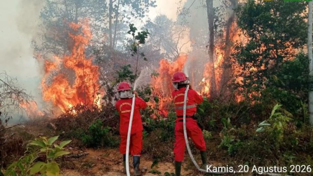 6 Provinsi di Kalimantan dan Sumatera Jadi Prioritas Penanganan Karhutla (Istimewa)