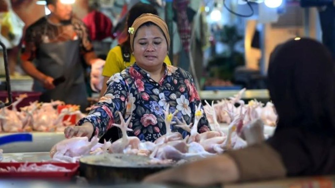 Calon pembeli memilih daging ayam yang dijual di Pasar Klandasan, Balikpapan, Kalimantan Timur, Selasa, 4 Agustus 2026. (Antara)