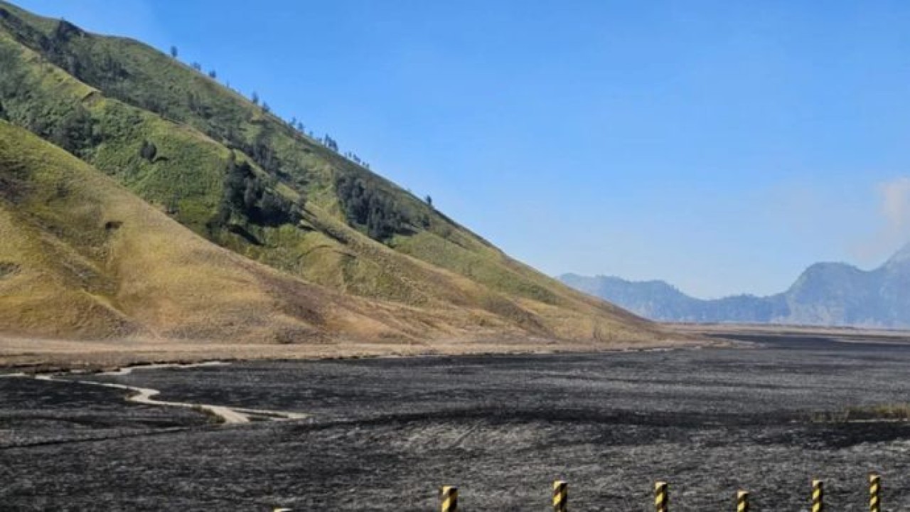 Penampakan savana di Gunung Bromo, Jawa Timur, Minggu, 9 Agustus 2026 nampak berwarna hitam seusai meluasnya titik api, pada Sabtu, 8 Agustus 2026. (Antara)