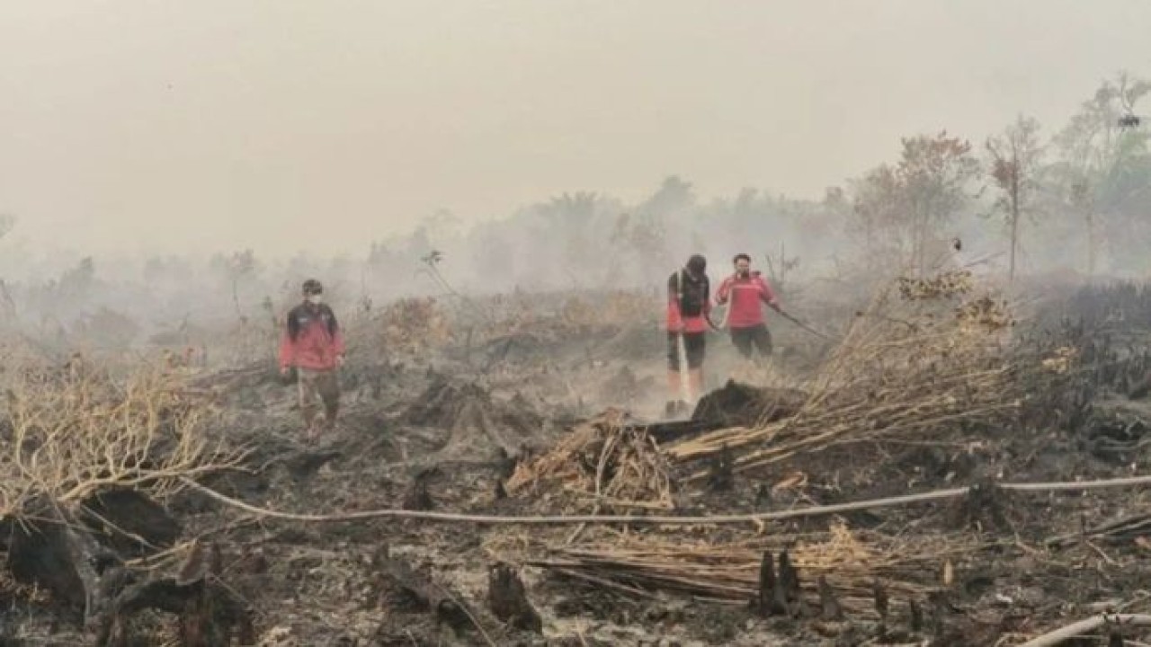 Petugas terus berupaya melakukan penanganan karhutla di kawasan Petuk Katimpun, Kota Palangka Raya, Rabu, 19 Agustus 2026. (Antara)