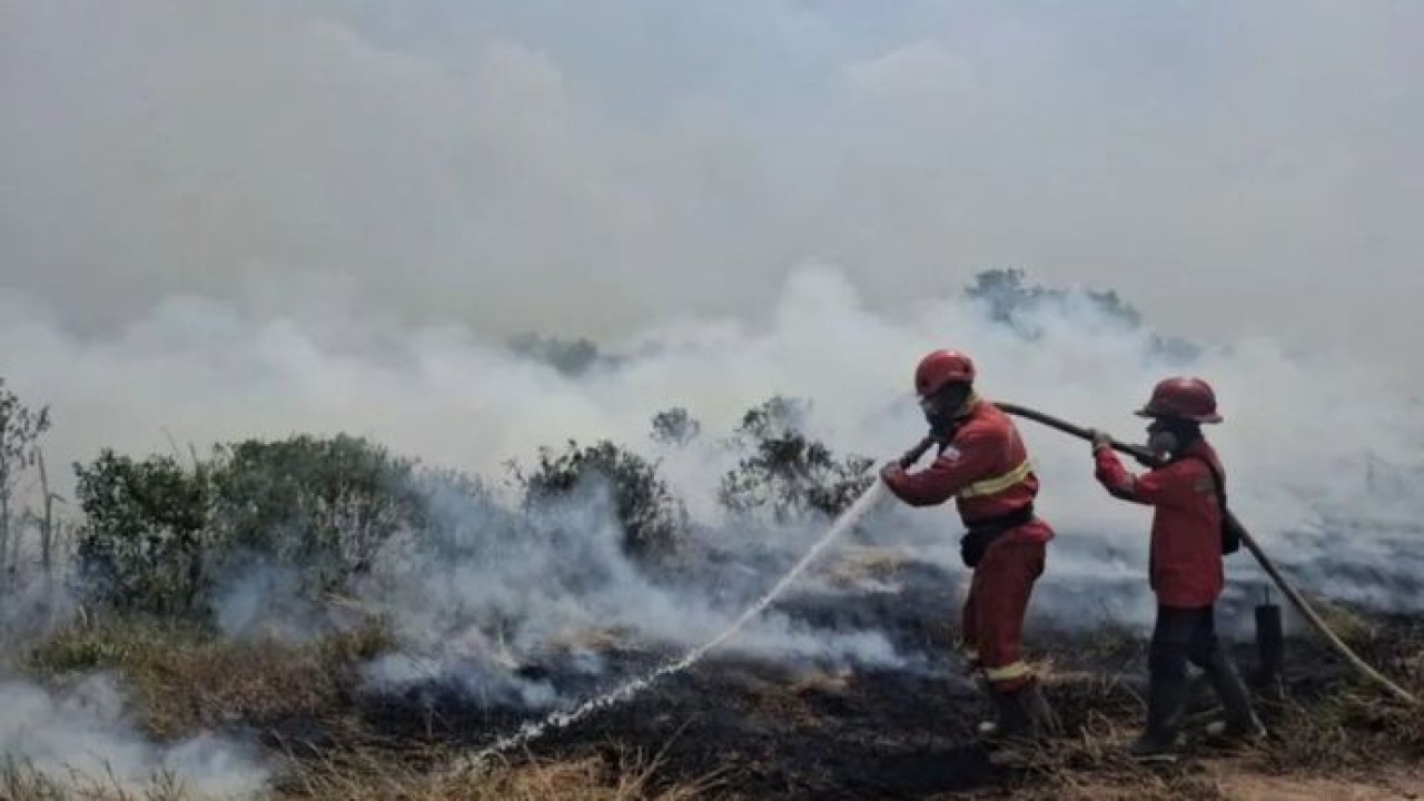 Petugas Manggala Agni Kemenhut melakukan pemadaman karhutla di wilayah Sumatera Selatan, Minggu (22/8/2026) (Antara)