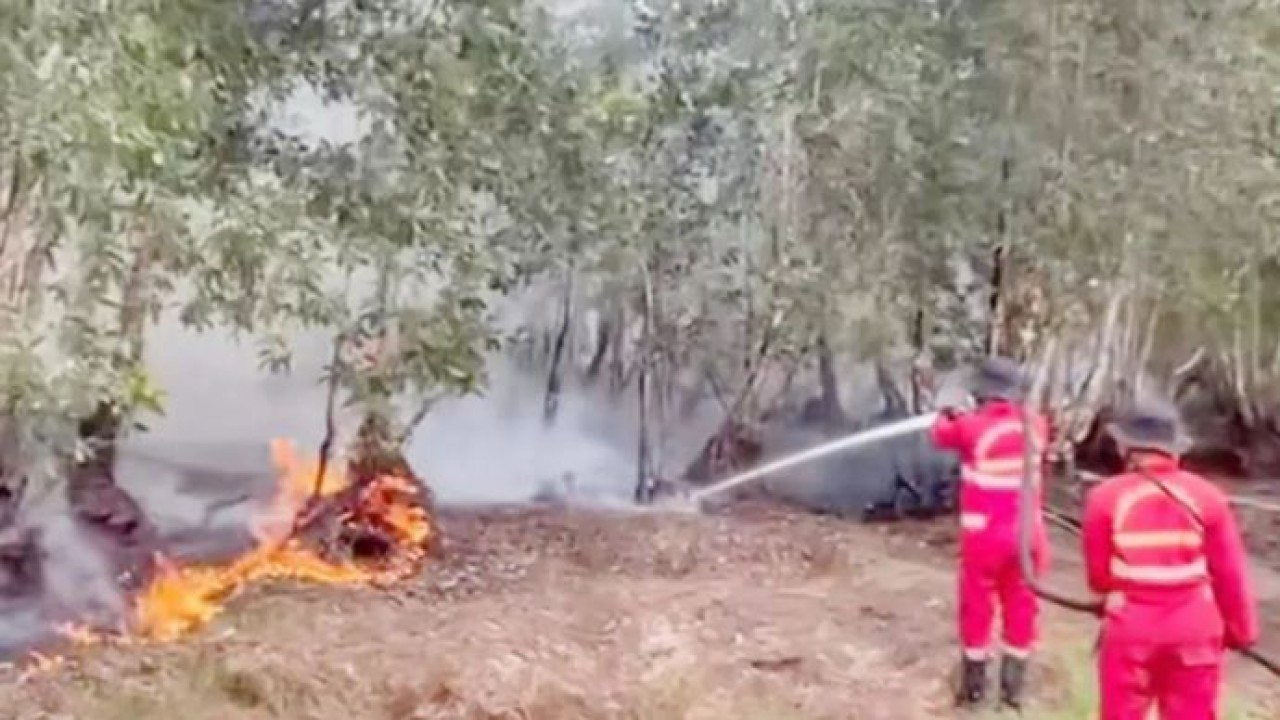 Manggala Agni Daops Kalimantan V/Banjar Kemenhut melakukan pemadaman karhutla di Kabupaten Banjar, Kalsel. (Antara)