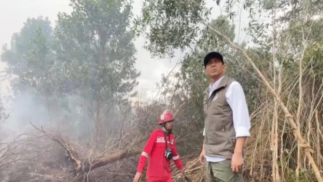 Menteri Kehutanan Raja Juli Antoni mengecek lahan terbakar di sekitar kawasan Bandara Internasional Syamsudin Noor Banjarbaru (Antara)