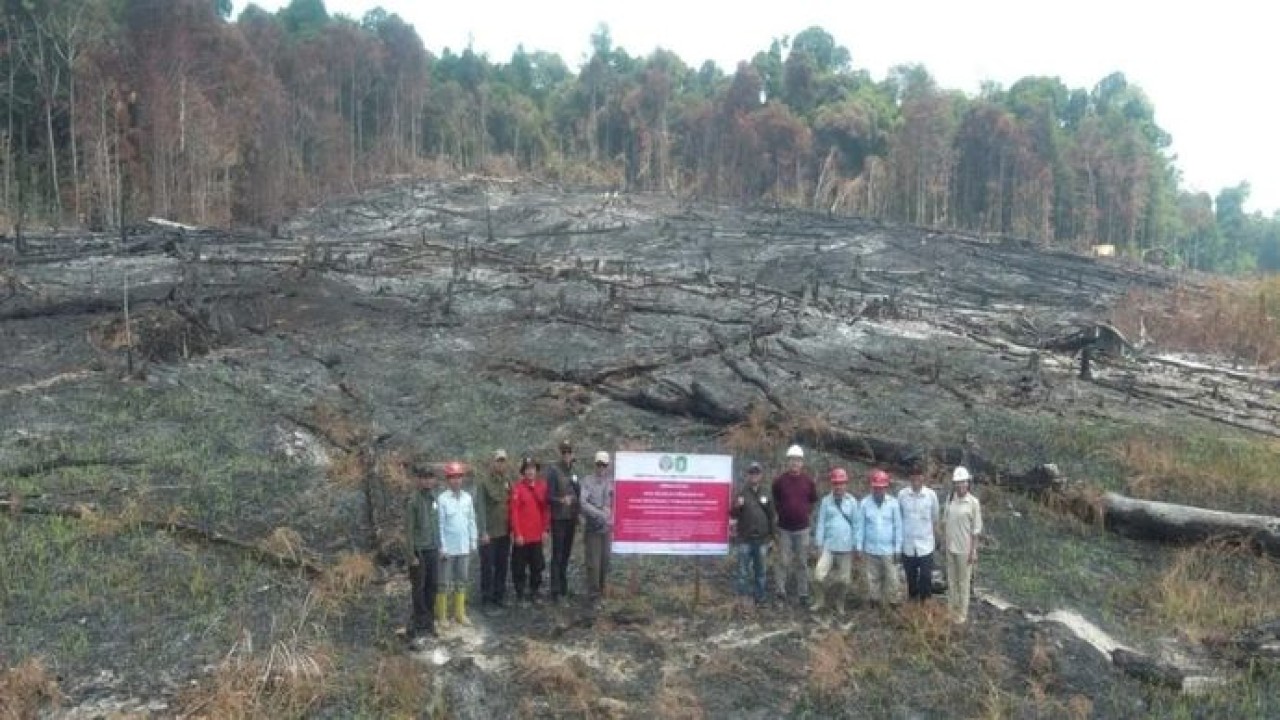 Pembekuan izin perusahaan dan sanksi paksaan pemerintah (Antara)