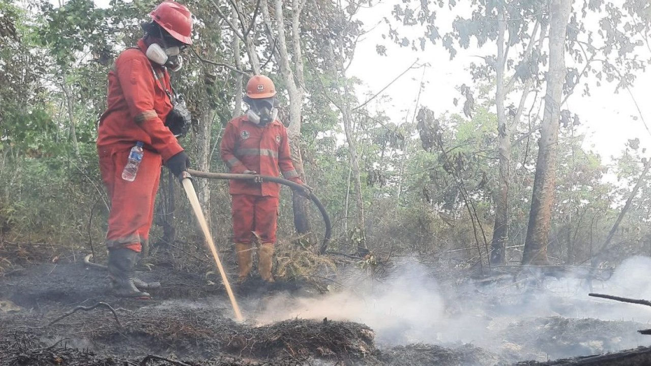 Pemerintah terus mengoptimalkan Operasi Modifikasi Cuaca (OMC) untuk mengatasi kebakaran hutan dan lahan (karhutla) di wilayah Kalimantan. (Foto: Dok/Istimewa/Kementerian Kehutanan)