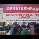 kop-1788148575