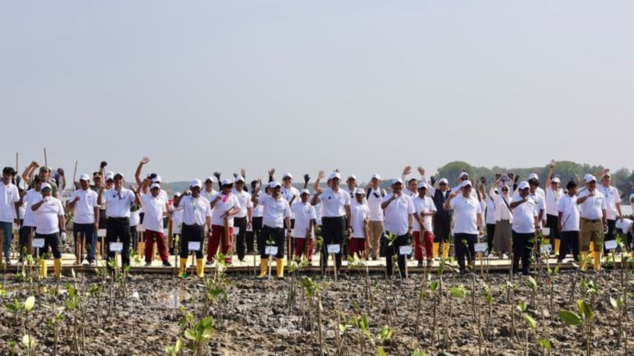 Jajaran pejabat pemerintah pusat, daerah, serta tim Badan Otorita Pengelola Pantura Jawa (BOPPJ) berfoto bersama usai melakukan penanaman mangrove di Demak.