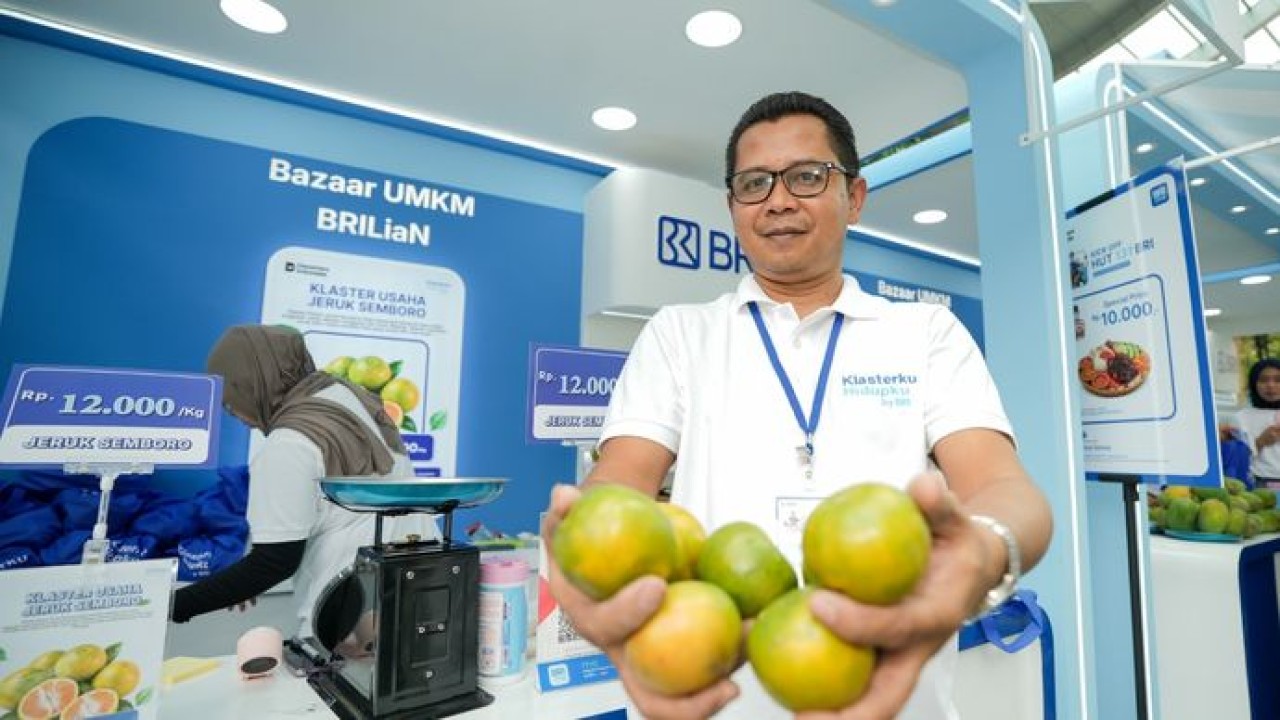 Antoni memperlihatkan hasil panen jeruk Semboro berkualitas di stand bazar UMKM BRI, mencerminkan peningkatan kapasitas dan skala usaha setelah mendapat dukungan pembiayaan serta pendampingan.