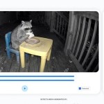 SynthID Detector-1791453478