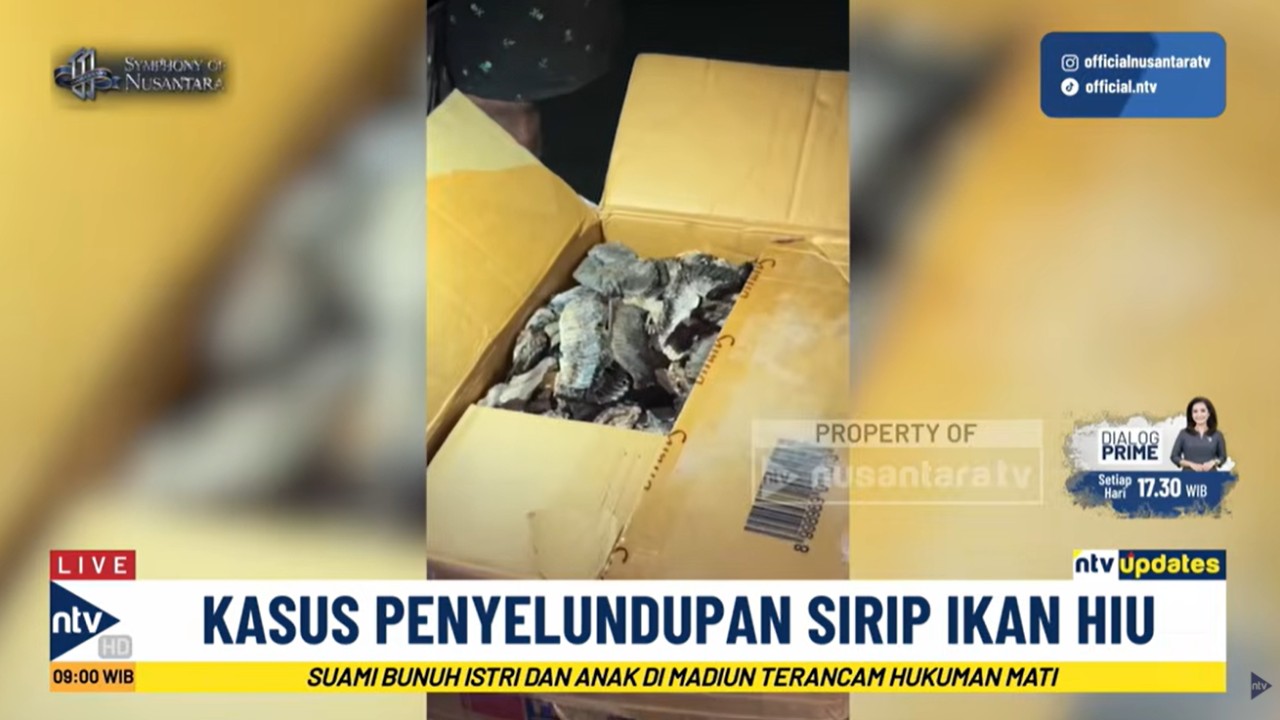 Direktorat Kepolisian Perairan dan Udara Polda Jawa Timur mengungkap kasus dugaan penyelundupan sirip dan insang hiu dari Sika, Nusa Tenggara Timur (NTT) menuju Surabaya, Jawa Timur, melalui jalur laut.