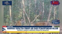 Tangkapan layar Nusantara TV-1793326899